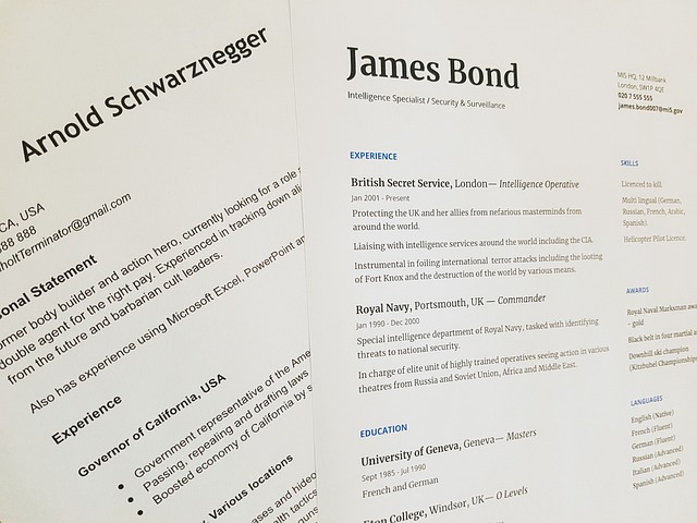 Make a resume